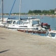 Omi-pl