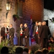 Festival dalm. skupin