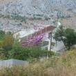 Vila ivkovi