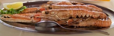 7. chorvatsk speciality